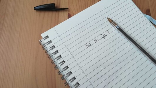 Sa ou ça : comment ne plus confondre ?