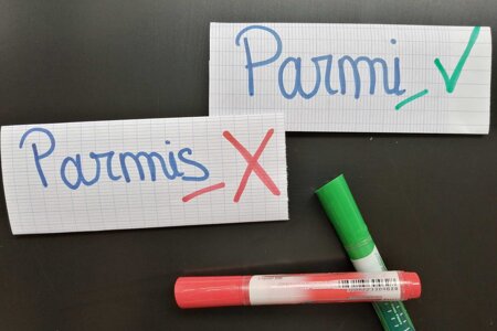 Parmi ou parmis : la règle expliquée