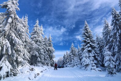 Guide du sport d’hiver pour étudiants fauchés ️