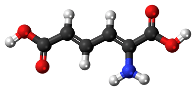 Comprendre le métabolisme 