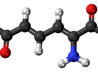 Comprendre le métabolisme 