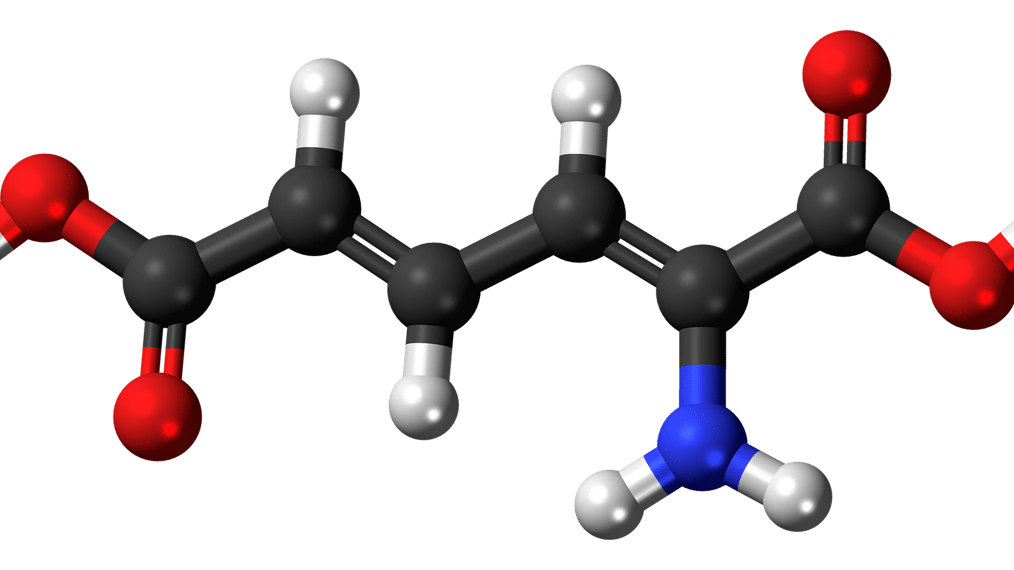 métabolisme