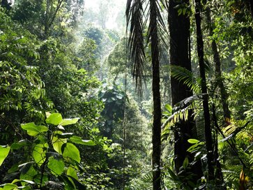 C’est quoi la biodiversité ? 