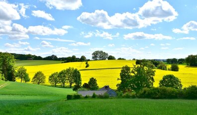 Tout savoir sur le secteur de l’agriculture 