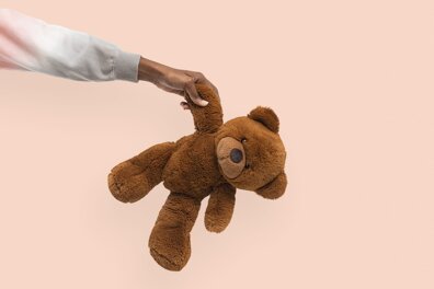 Teddy Bear : la véritable histoire de l’ours en peluche 