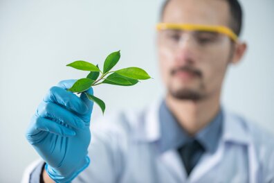 Botaniste : un métier en herbe ! 