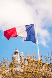 La véritable histoire du drapeau français 