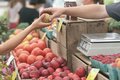 Maraîcher : découvre notre fiche métier 