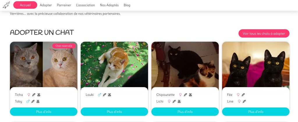 (Image) Interface du site de la Voie Féline, où l'on voit les chats à l'adoption