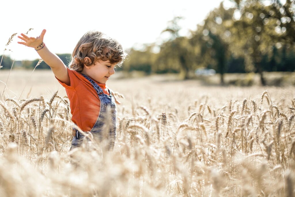 Un petit garçon est heureux dans un champ de blé.