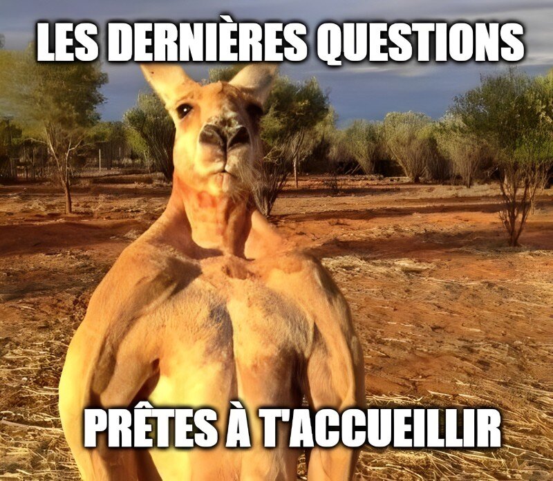 Un kangourou musclé est menaçant.