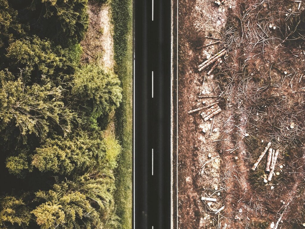 Une route sépare une forêt d'un espace déboisé.