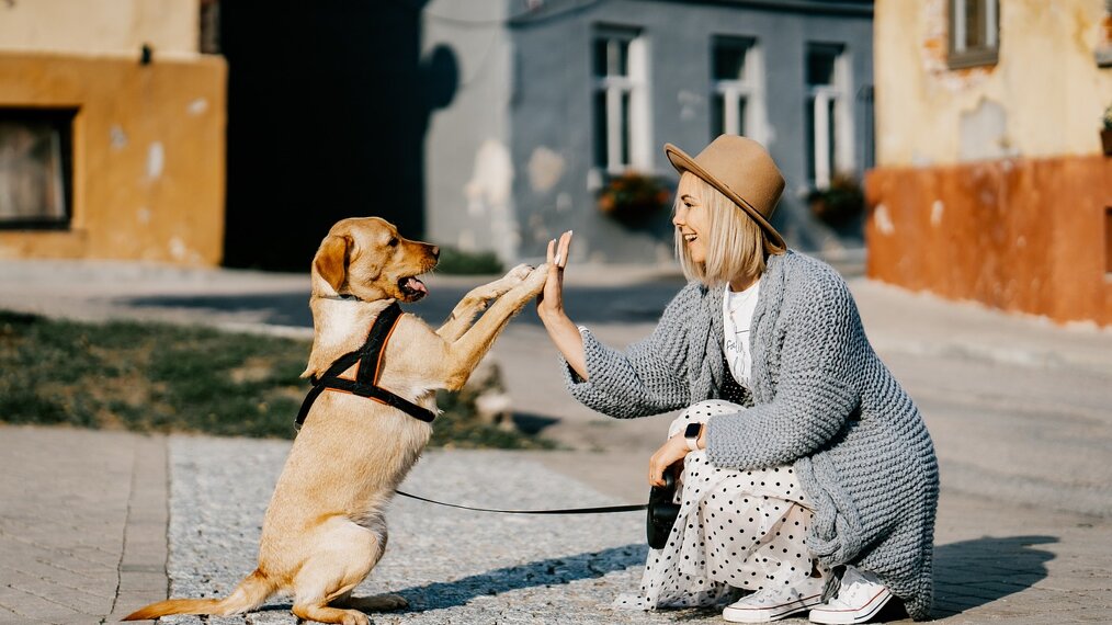 Jeune femme complice avec son chien