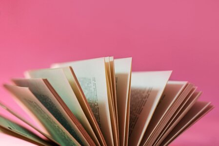 Discours indirect libre : fiche de cours