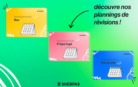 Tu galères à organiser tes révisions ?