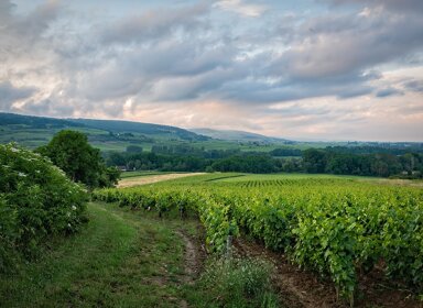 La véritable histoire des départements français 