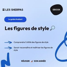 Guide figures de style ️