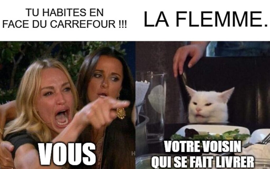 Un chat est content de faire enrager une femme.