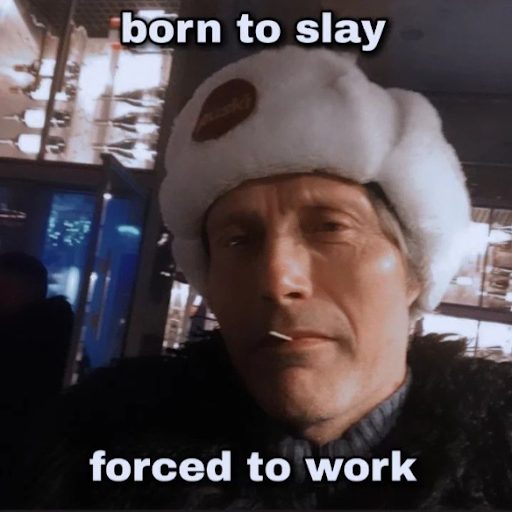 mème internet avec écrit : born to slay, forced to work 